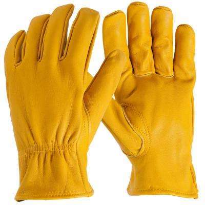 gloves gloves