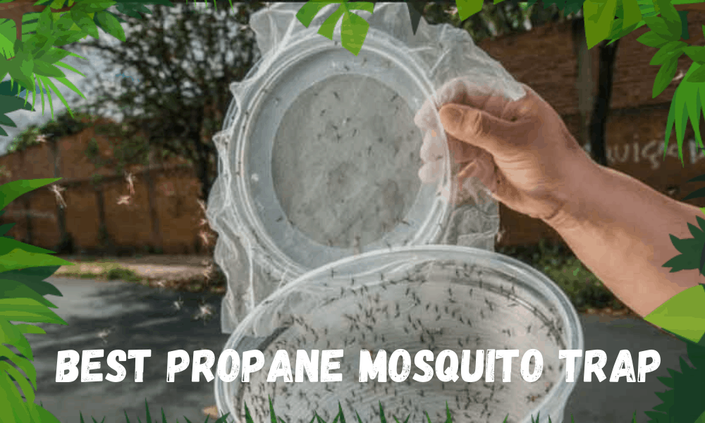 Best Propane Mosquito Trap