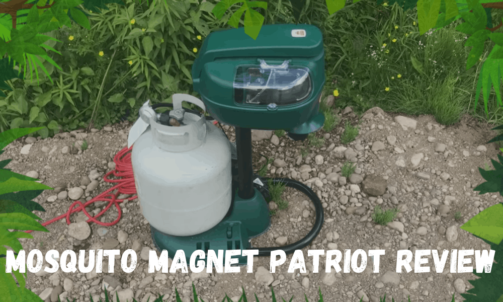 Mosquito Magnet Patriot Review