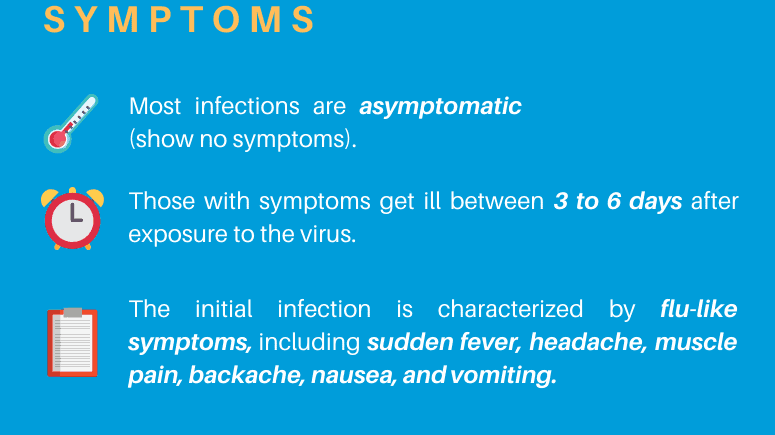 yellow fever symptoms