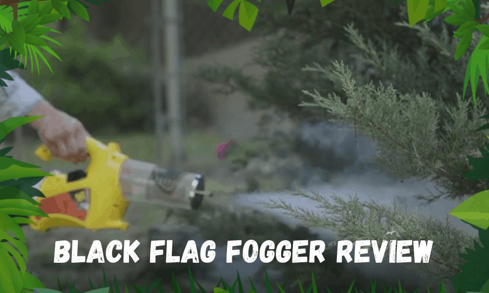 Black Flag FOGGER REVIEW