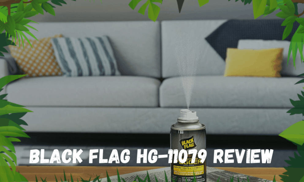 Black Flag HG11079 Review 6 Count Indoor Fogger Insect Hobbyist