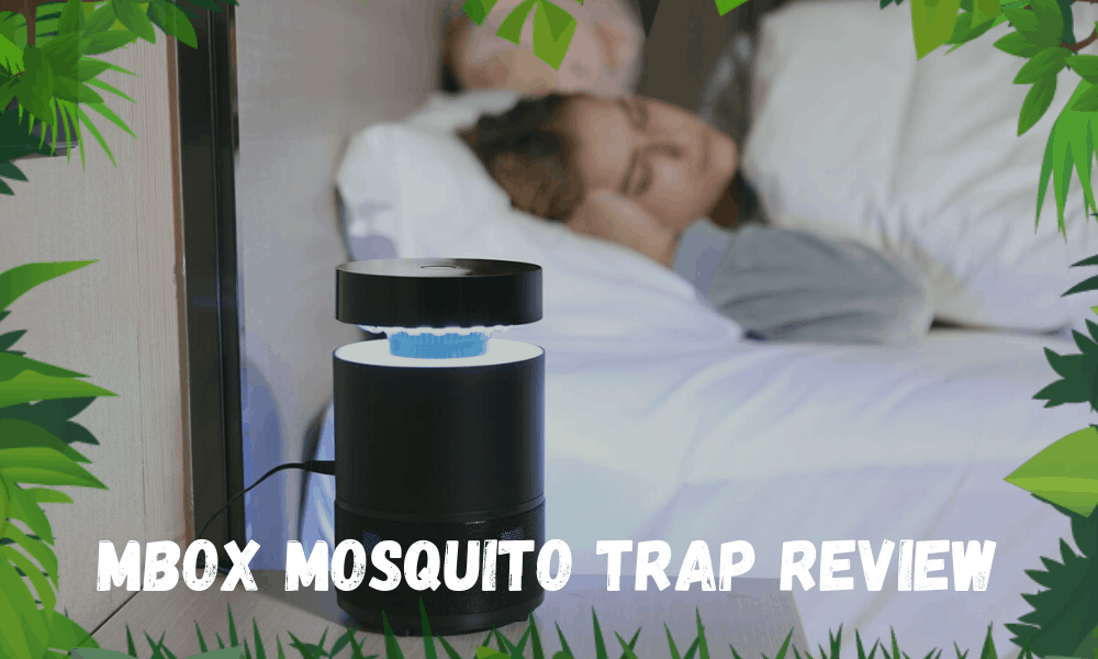 MBOX Mosquito Trap Review