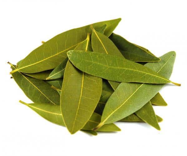 Bay-Leaves