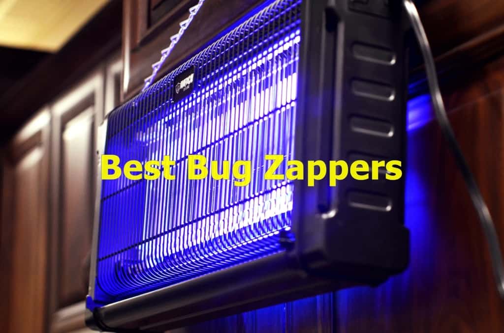 The Best Bug Zappers to Buy in 2019 Insect Hobbyist