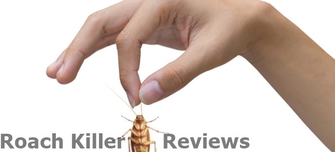 roach killer | Insect Hobbyist