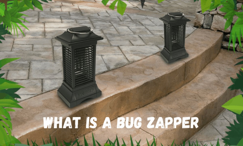 What is A Bug Zapper and How Does it Work 2020 Guide