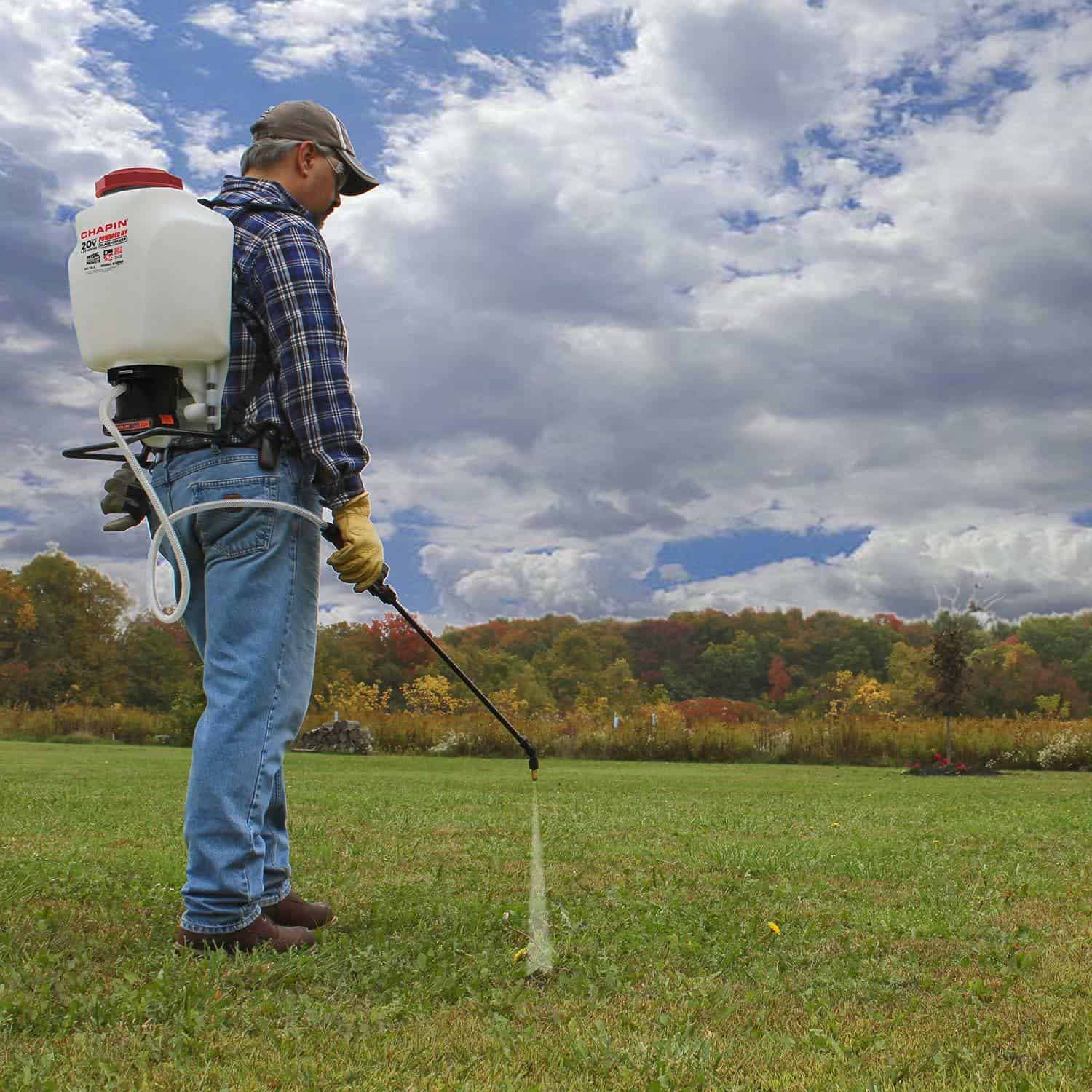 Best Atomizer Sprayers