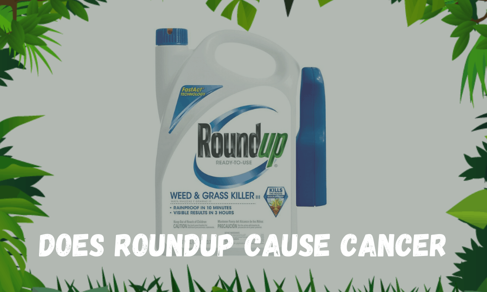 Does Roundup Cause Cancer