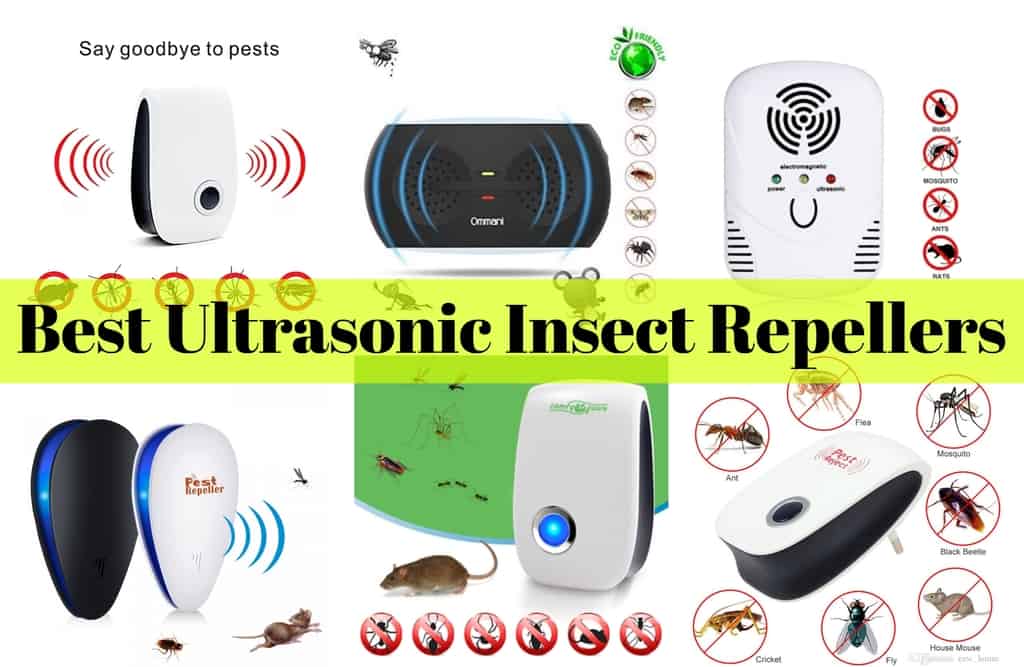 BestUltrasonicInsectRepellers Insect Hobbyist