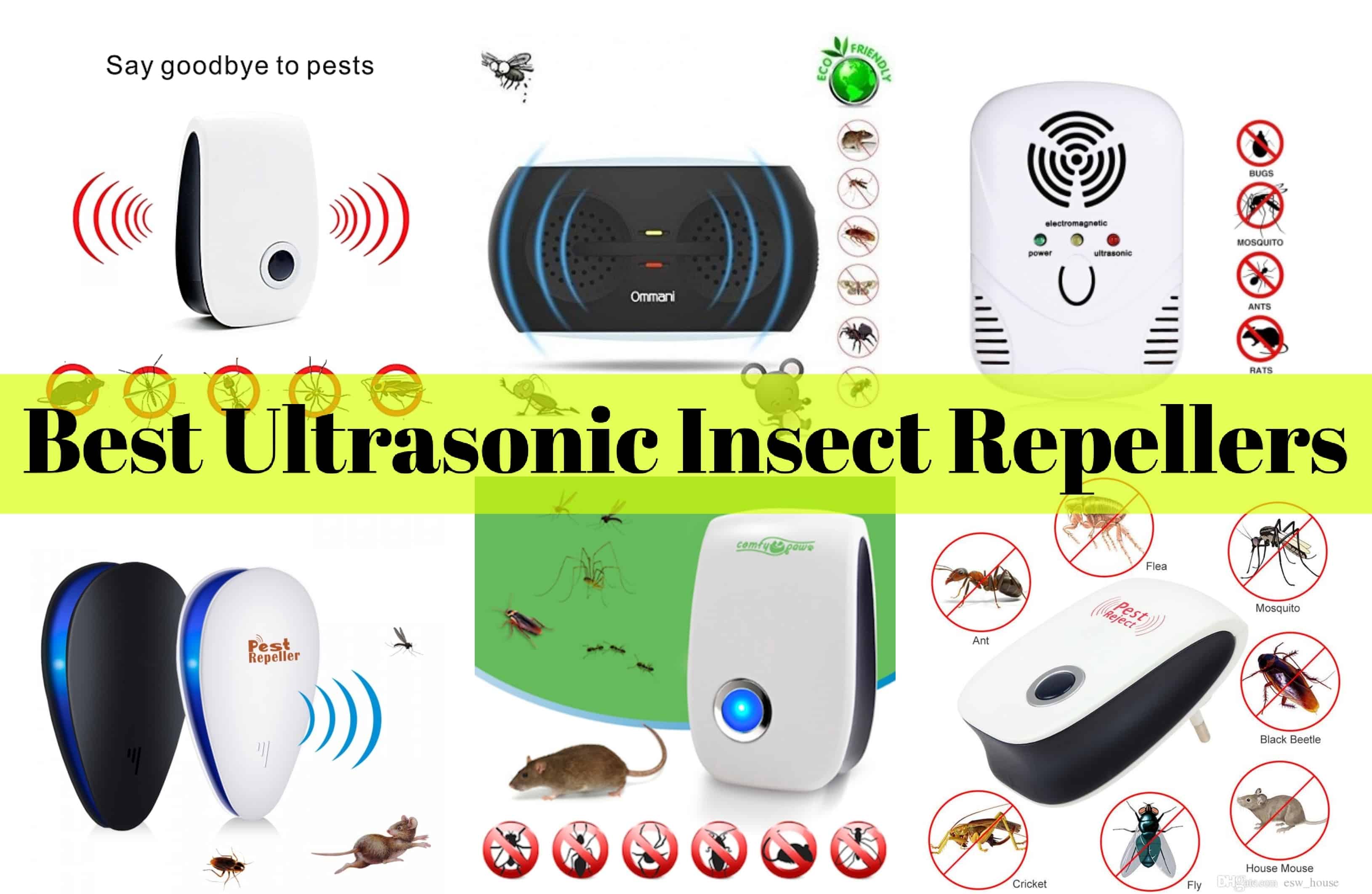 BestUltrasonicInsectRepellers Insect Hobbyist