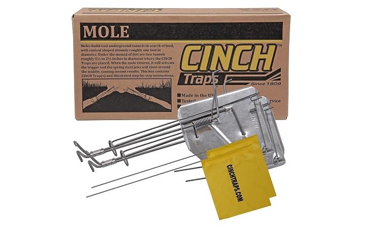 Cinch Mole Trap