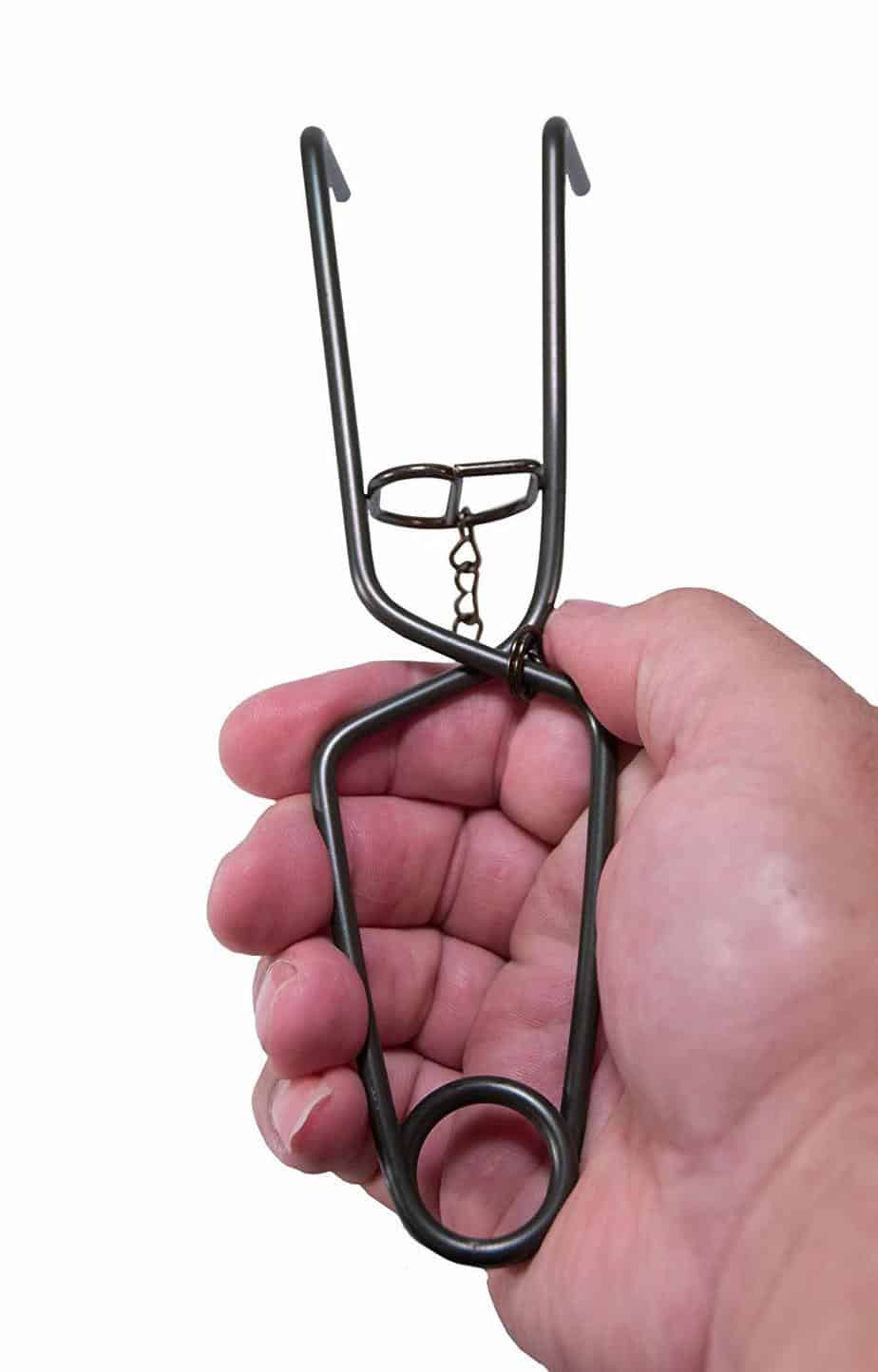 Best Mole Traps for 2019 Insect Hobbyist