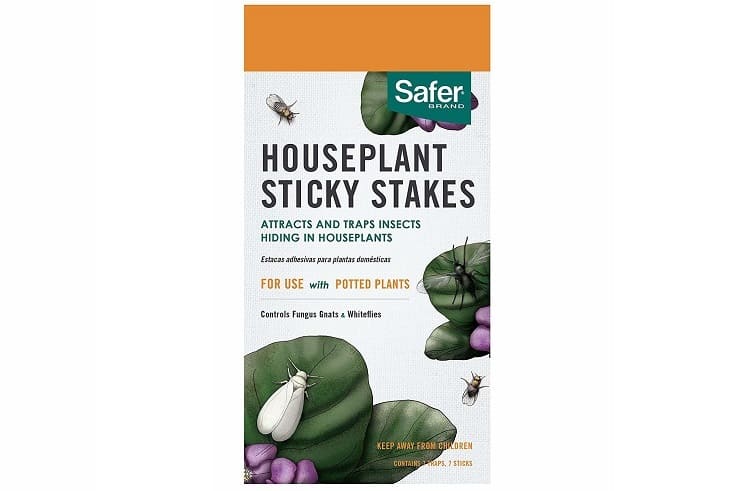 Safer Brand insect trap