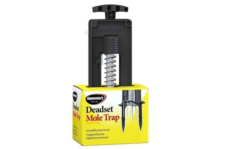 Sweeney’s Deadset Mole Trap