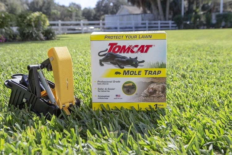 Tomcat Mole Trap