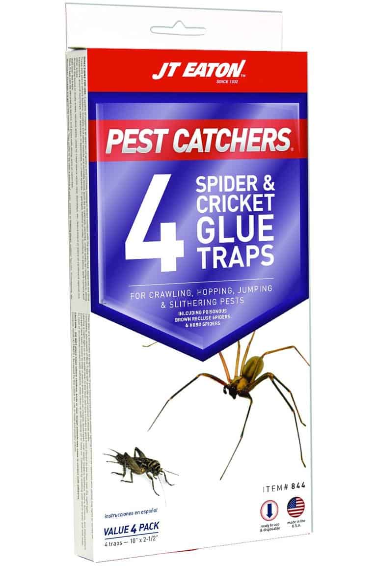 10 Best Silverfish Traps in 2021 You Should Know Of Insect Hobbyist