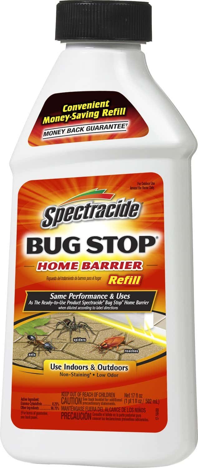 what kills scorpions what-kills-scorpions