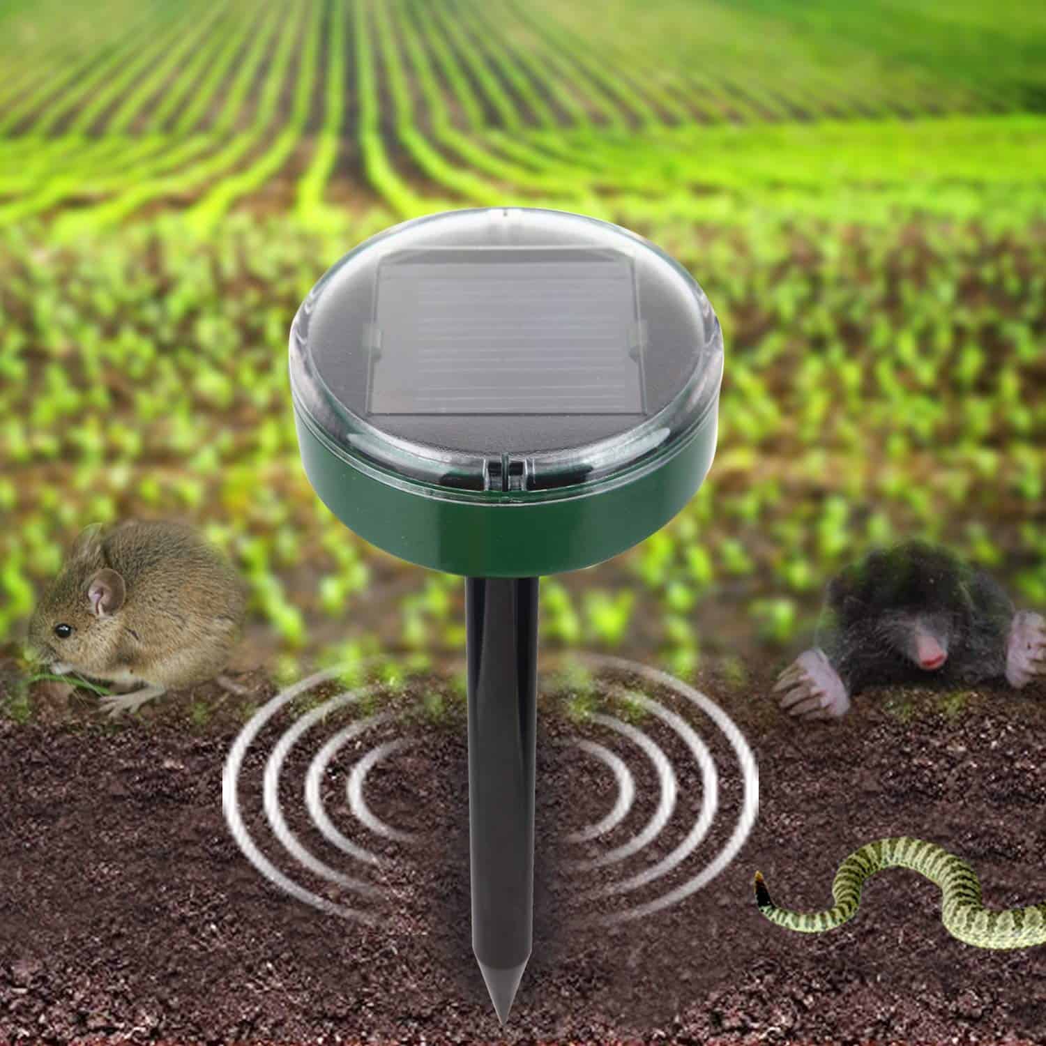 10 Best Mouse Repellents Insect Hobbyist