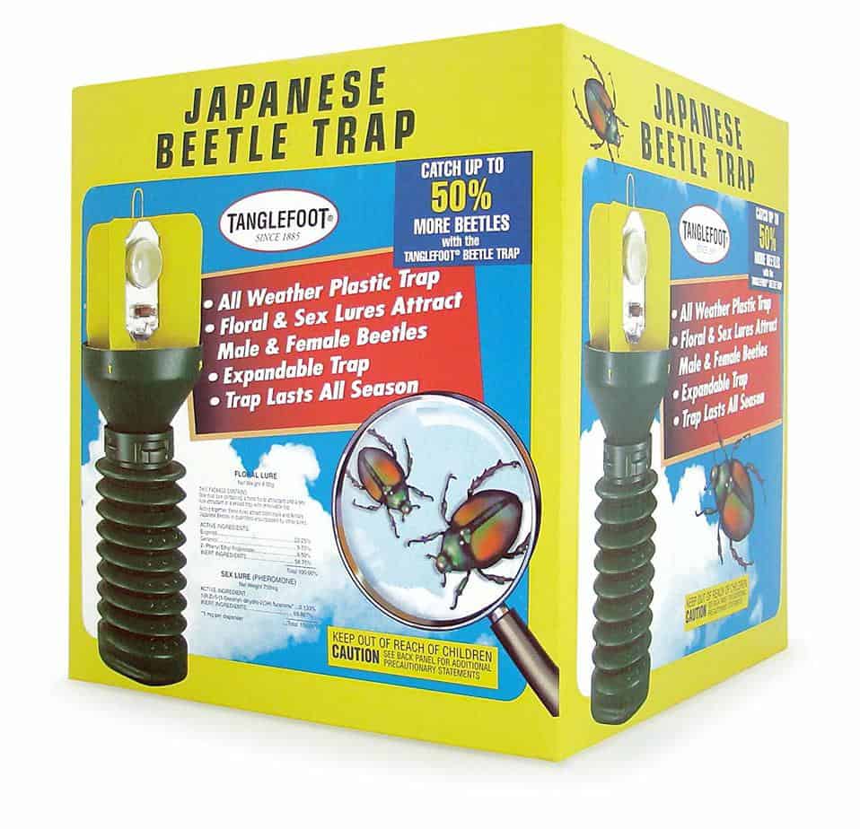 japanese-beetle-traps