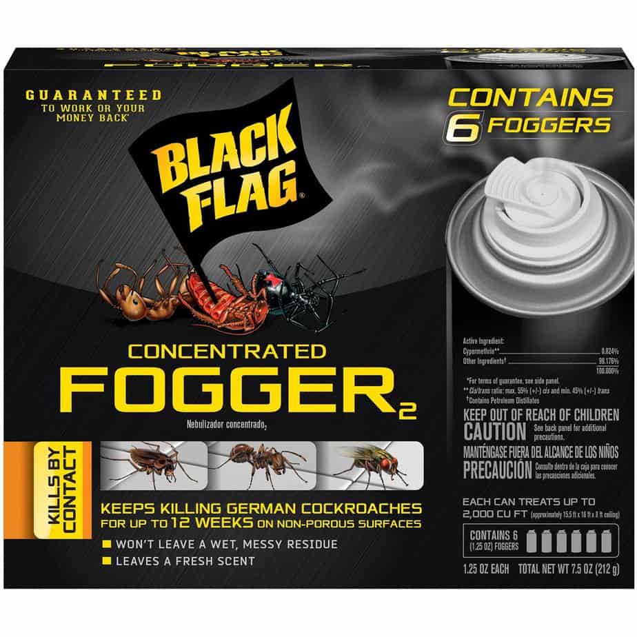 5 Best Spider Bombs Review Insect Hobbyist