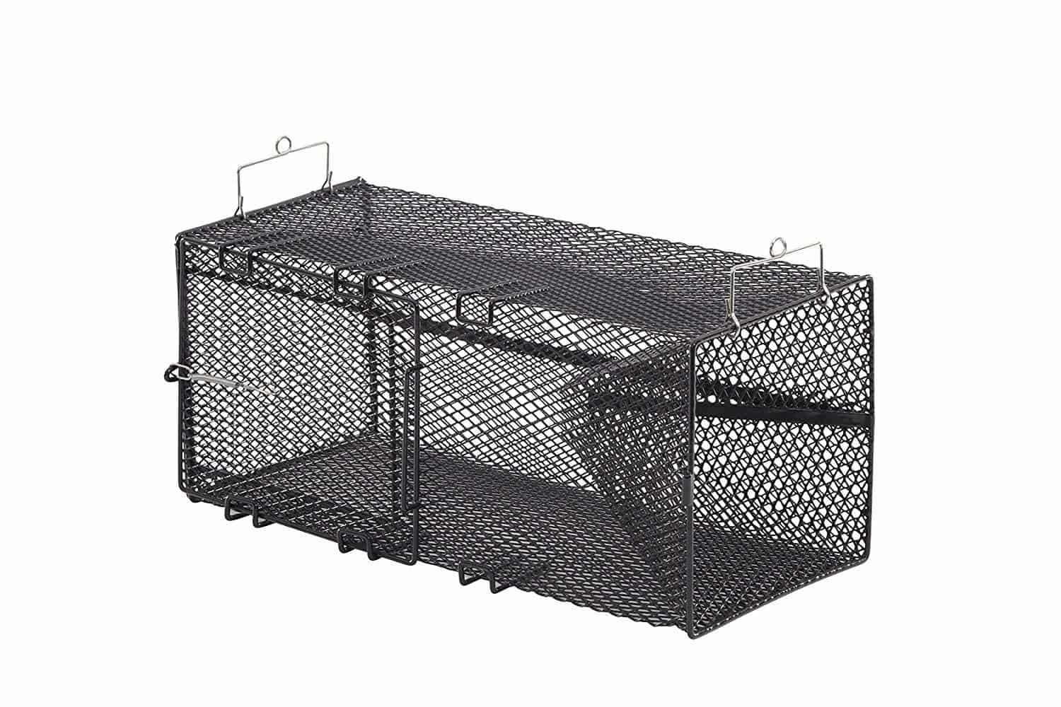 10 Best Snake Traps 2020 Insect Hobbyist