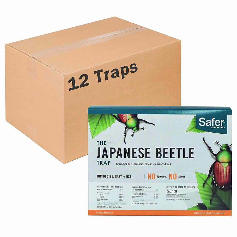 japanese-beetle-control