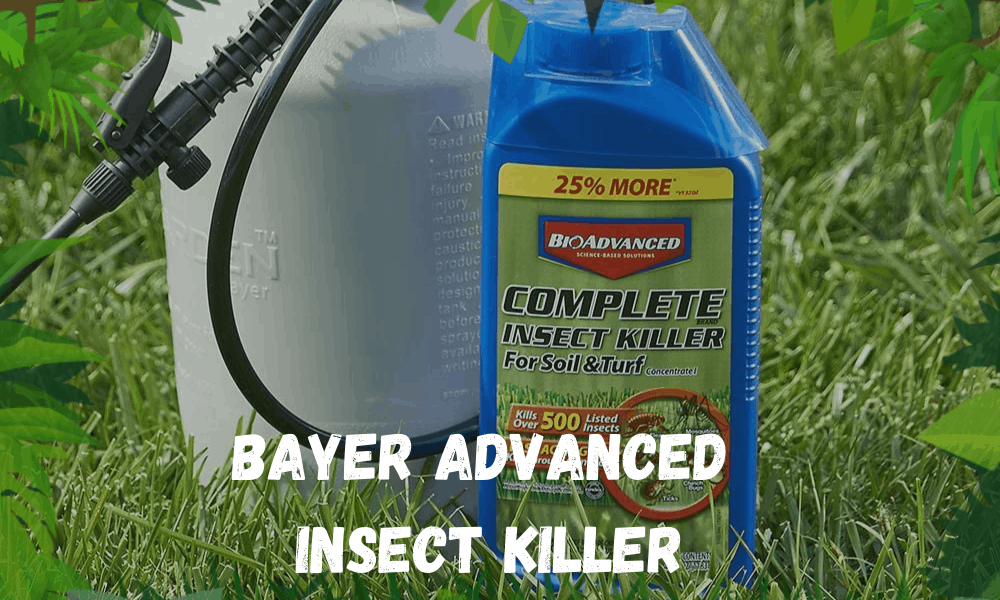 Bayer Advanced Insect Killer