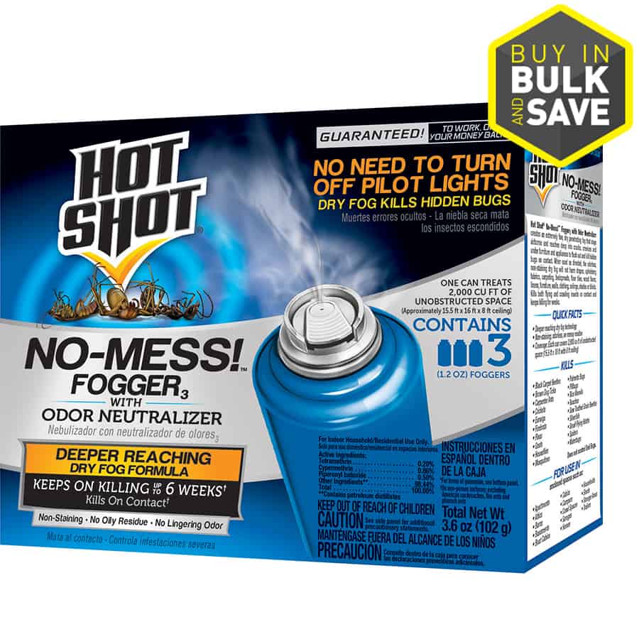 5 Best Spider Bombs Review Insect Hobbyist