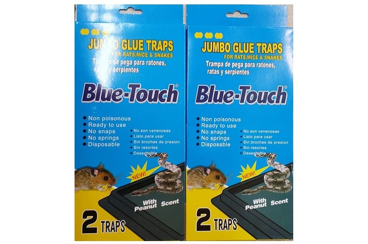 Blue-Touch Jumbo Trap