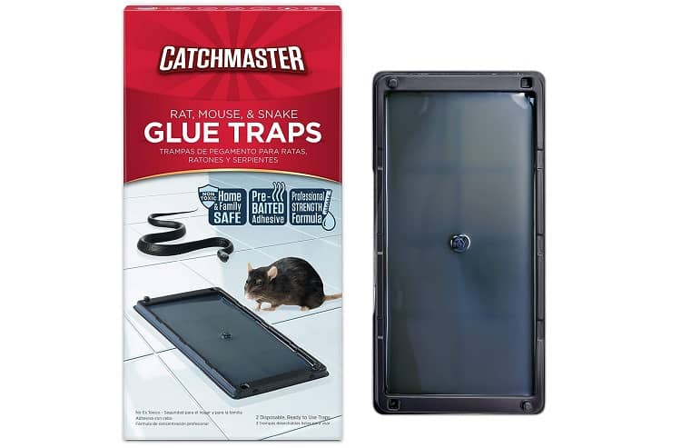 Catchmaster Best Snake Traps 