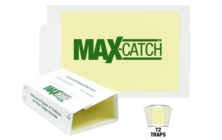 Catchmaster 72MAX Snake Trap