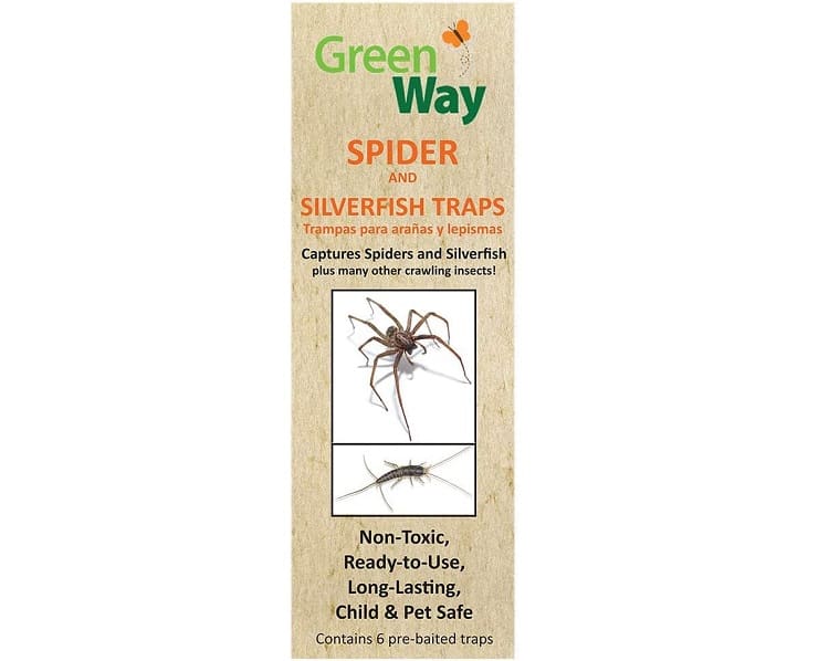 10 Best Silverfish Traps in 2020 You Should Know Of Insect Hobbyist