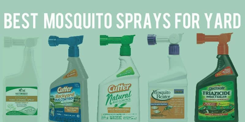 Best Mosquito Yard Sprays Insect Hobbyist