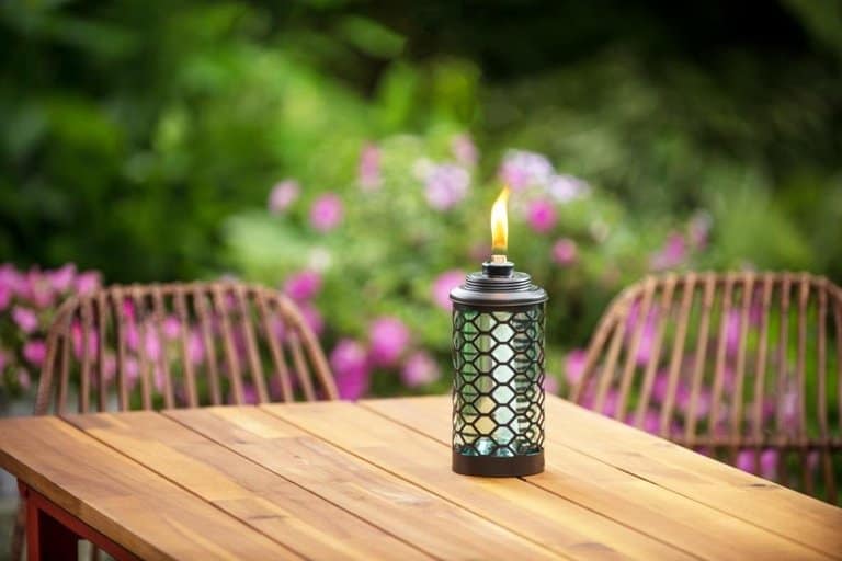 The Best Tiki Torches for Mosquito Repellents in 2020