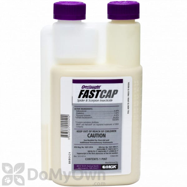 Onslaught FastCap Spider and Scorpion Insecticide Pint