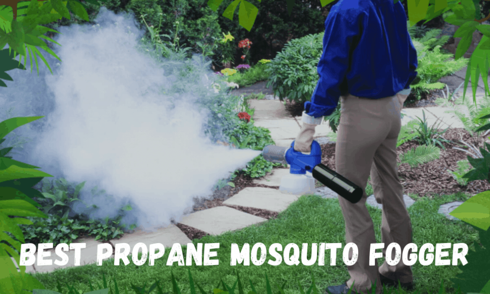 6 Best Propane Mosquito Fogger That Actually WORK [2020]