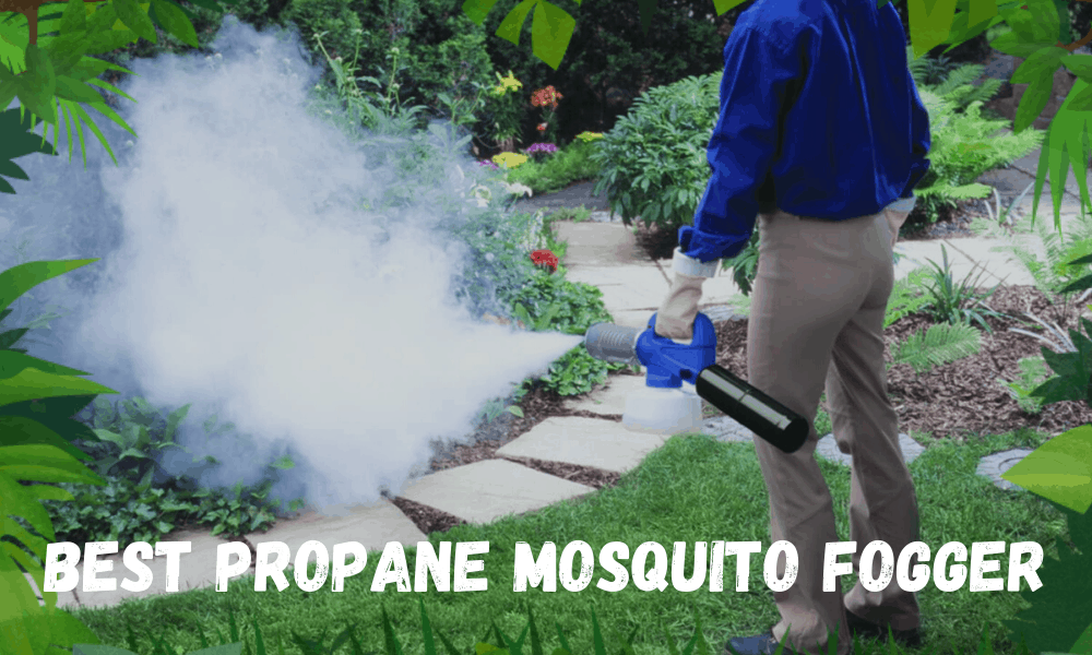 Best Propane Mosquito Fogger