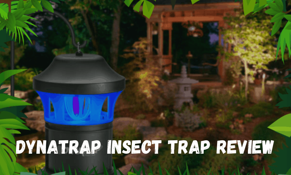 Dynatrap Insect Trap Review