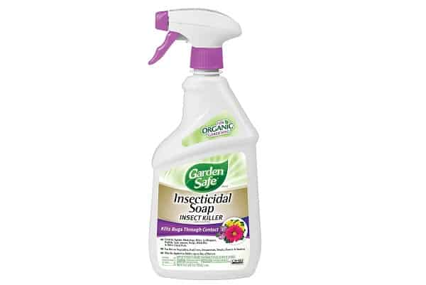 Garden Safe Soap Insect Killer