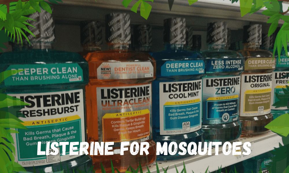 Listerine For Mosquitoes