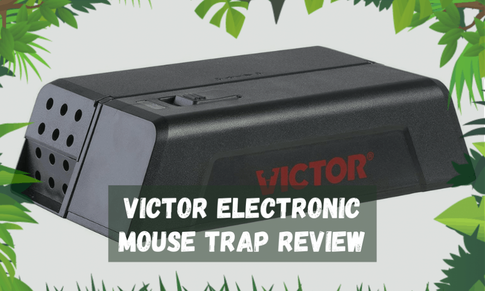 Victor Electronic Mouse Trap Review Does It Really Work?