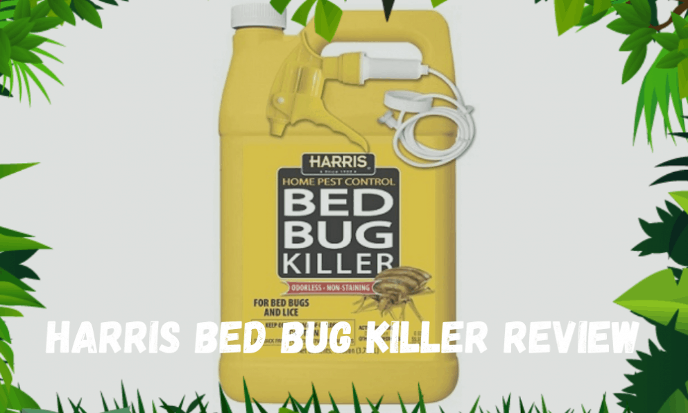 Harris Bed Bug Killer Review [2021] Does it Really Work?