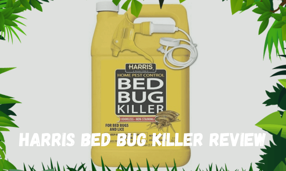 Harris Bed BUG Killer Review