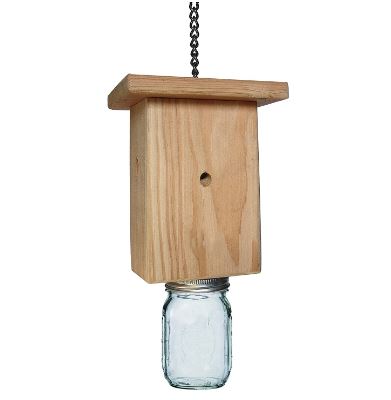 CBS Our Best Carpenter Bee Trap | Amazon