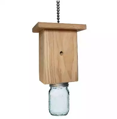 CBS Our Best Carpenter Bee Trap | Amazon