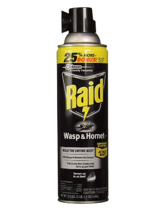 Raid Wasp & Hornet Killer Spray | Amazon