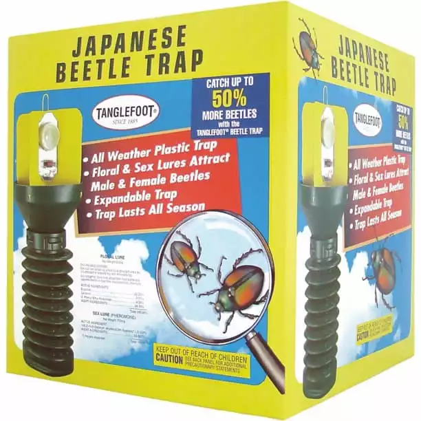 Tanglefoot Japanese Beetle Trap | Walmart