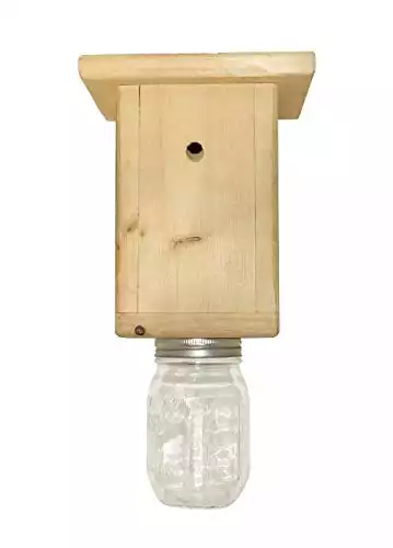 Original B Brothers-Carpenter Bee Trap | Amazon