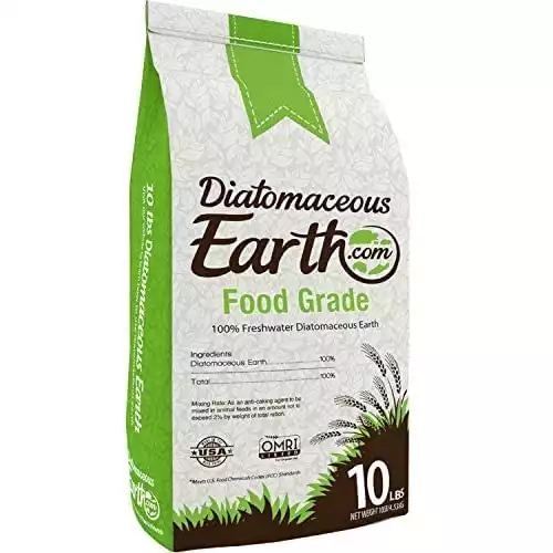 Diatomaceous Earth | Amazon